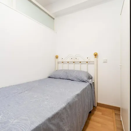 Ct 307 Al - Faro's Zapillo - *