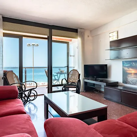 Ct 307 Al - Faro's Zapillo -